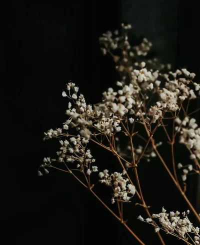 alex beaufort 7mozcykfdea unsplash crp