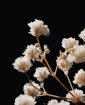 jocelyn morales j4ptdc6rt a unsplash crp